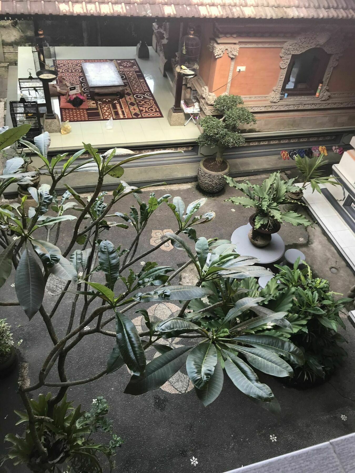 Kacu Ubud Inn Buitenkant foto